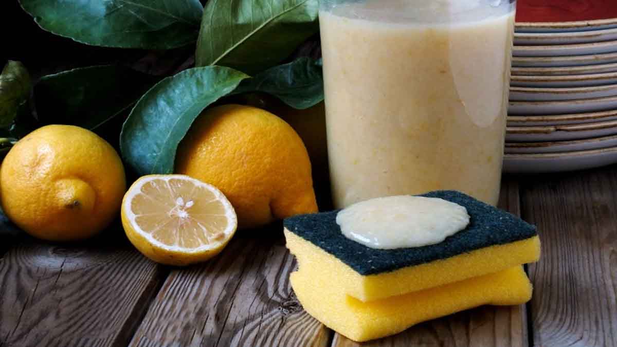 comment faire du savon vaisselle maison