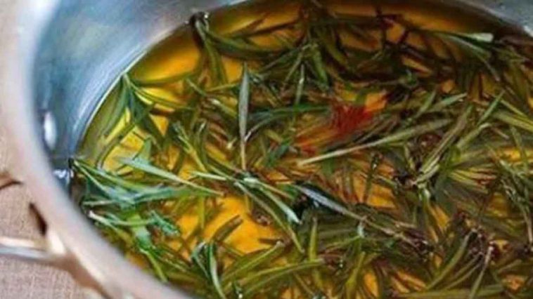 Huile de romarin: bienfaits et recette