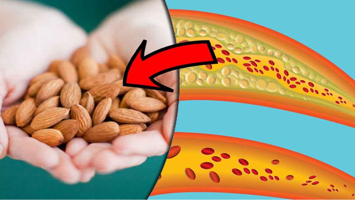 Les bienfaits de manger 25 amandes par jour