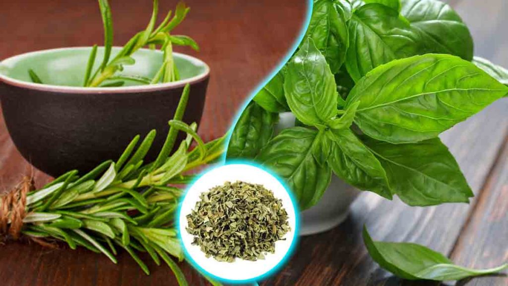 Comment conserver facilement du romarin et du basilic frais et les sécher sans four ni sèche