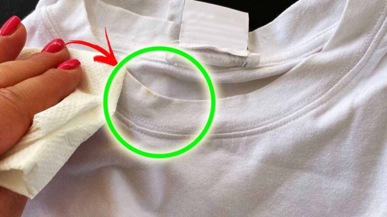 Comment Ravoir Un T Shirt Blanc Qui A Déteint www.plumeti.fr