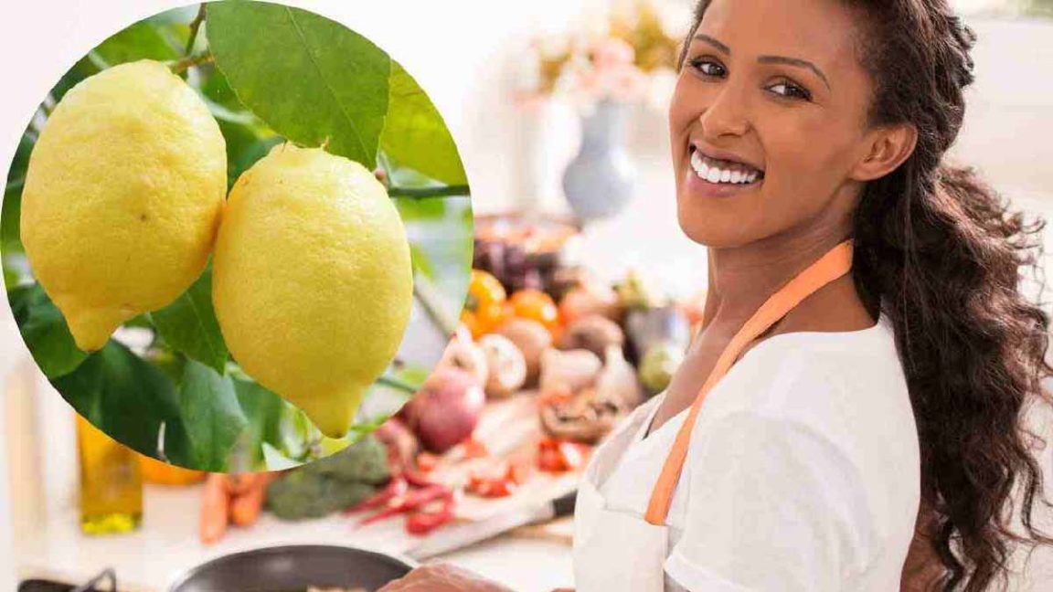 Beaux citrons à la maison : les conseils pour obtenir une plante saine