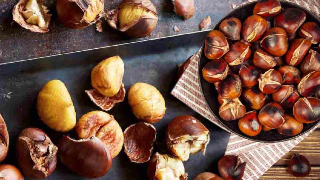 SOETDERT Foret à Châtaignes Pour Enfants, Kit De Bricolage