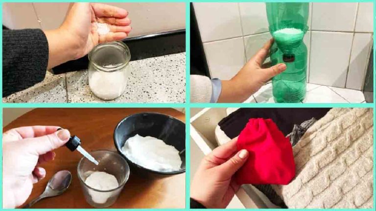 3 remèdes naturels pour absorber toute l’humidité de la maison