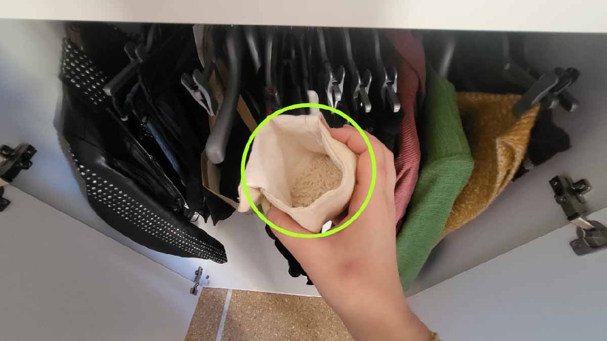 Comment enlever l'odeur d'humidité dans une armoire ? - Les Astucieux