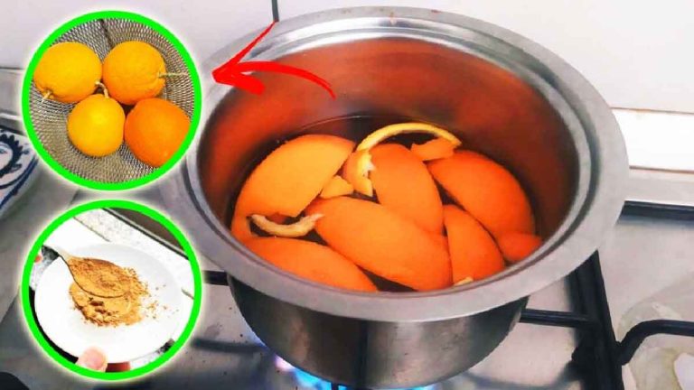 Comment fabriquer un parfum maison à l'orange et à la cannelle