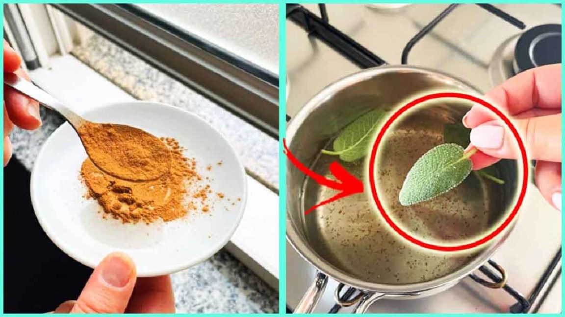 Comme par magie, l’odeur de renfermé disparaîtra avec ces astuces