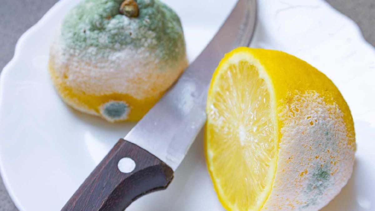 Technique de cuisine: zester un citron 