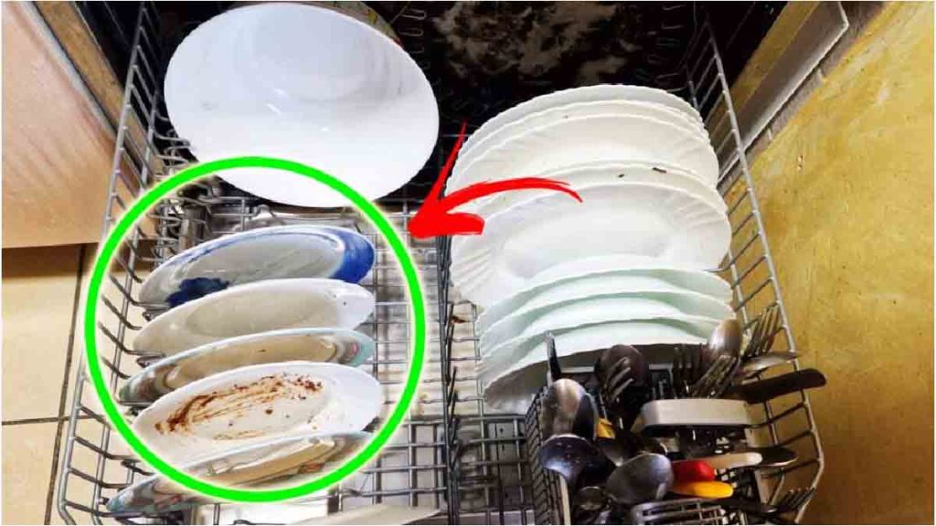 T-shirt "Diriger, Ne Jamais Suivre" - Manches Raglan - Coupe Classique Légère - Uni - Message Inspirant