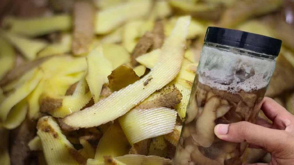 Essayez de mettre des pelures de pomme de terre dans un bocal d’eau bouillante