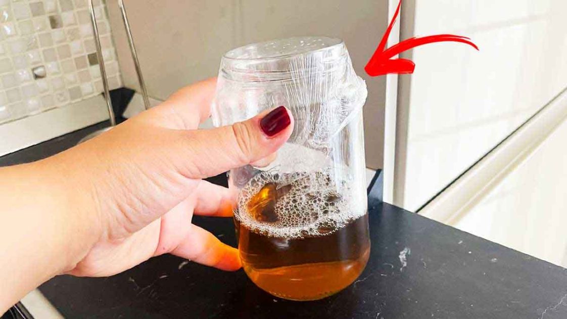 Cette astuce du pot va chasser immédiatement les mouches et les