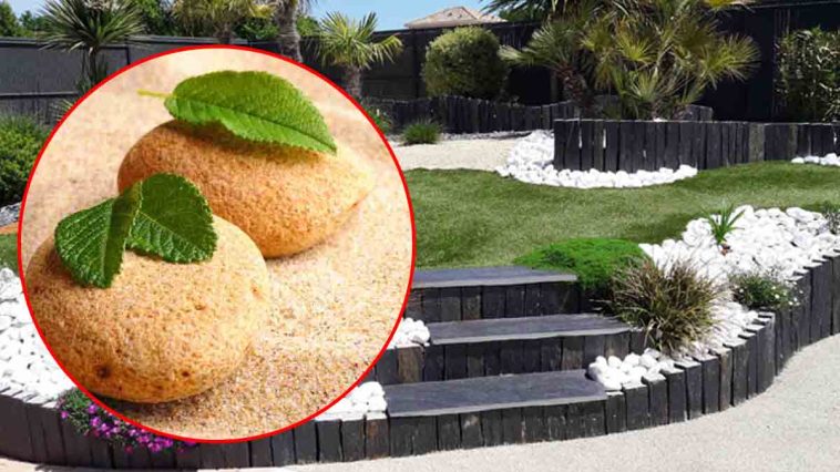 7 idées uniques pour aménager le jardin avec des pierres