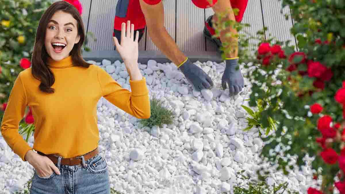 Aménager le jardin avec des pierres