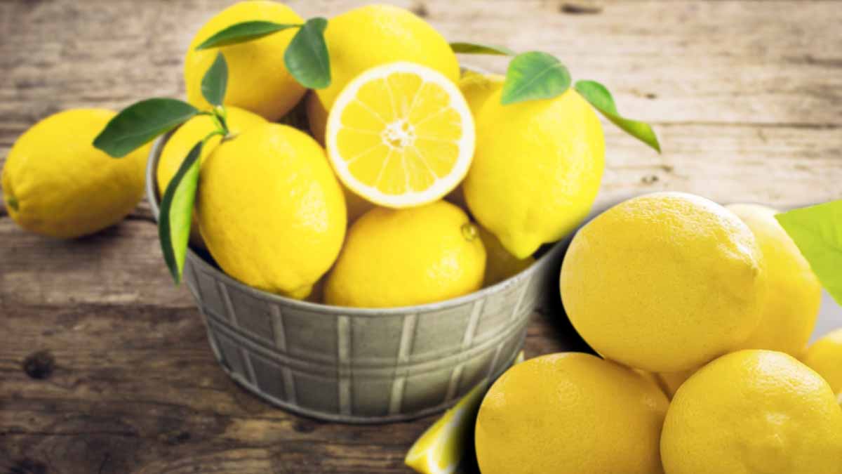 avoir des citrons toujours frais