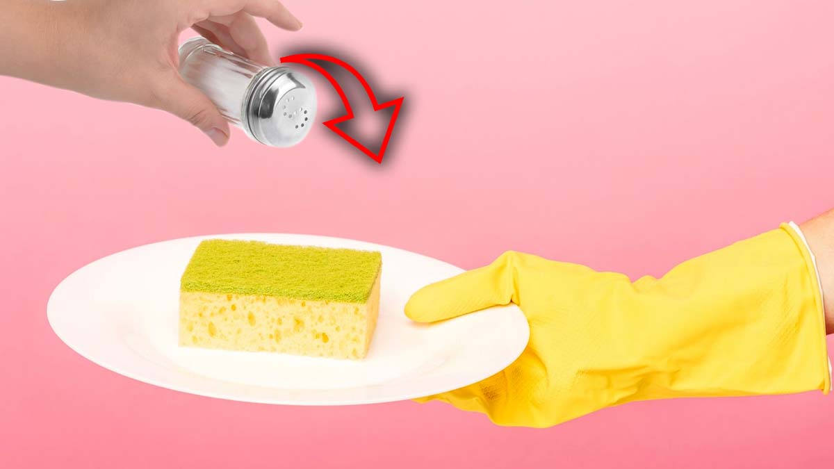 du sel sur l'éponge à vaisselle