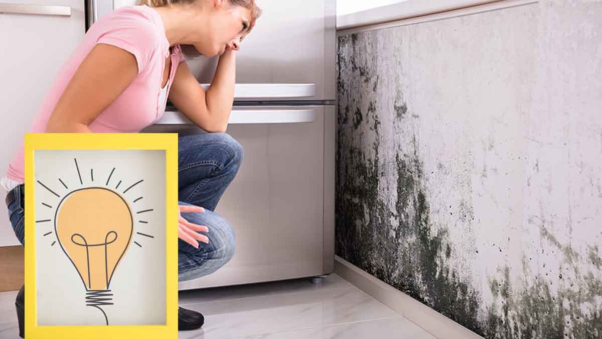 retirer ces moisissures inesthétiques près de la fenêtre