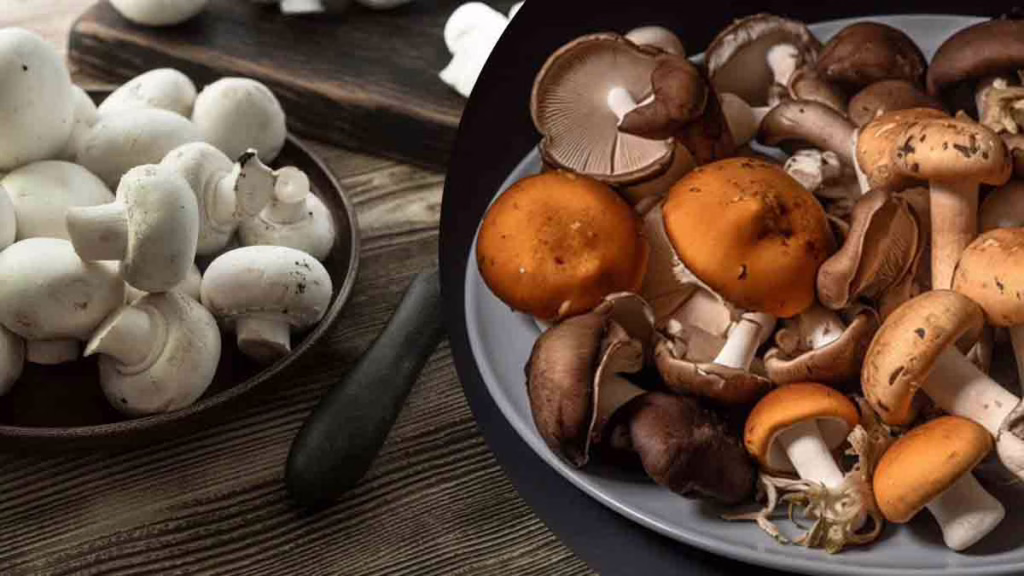 éviter le noircissement des champignons