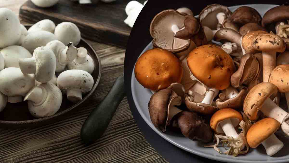 éviter le noircissement des champignons
