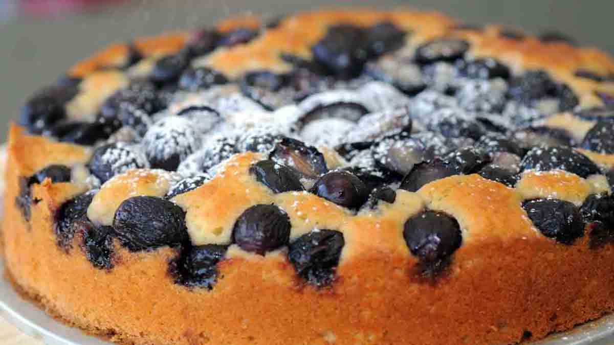 gâteau automnal aux raisins rouges