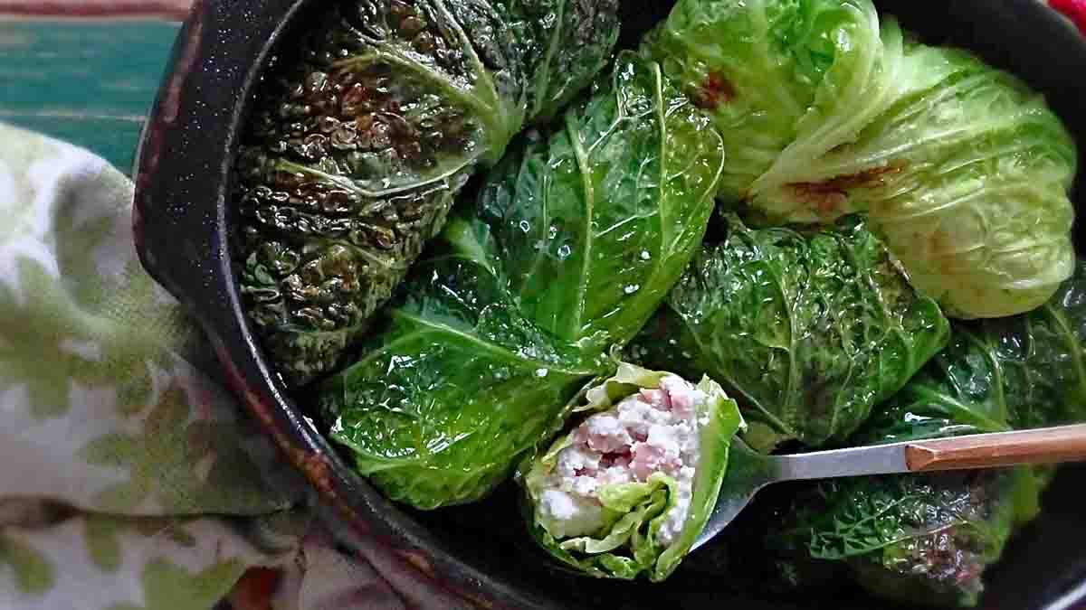 roulés de chou à la ricotta