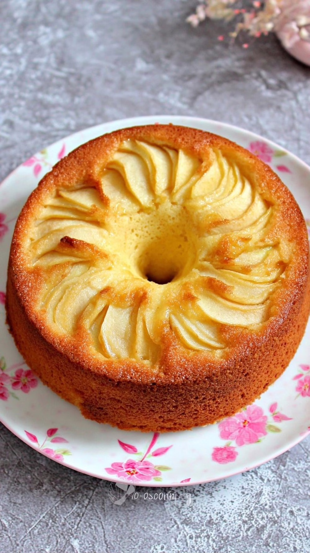 Gâteau aux pommes sans gluten à la farine de riz moelleux et parfumé pour les après-midis d'automne